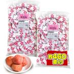 鈴木栄光堂 梅塩飴 1kg×2袋 約460粒 栄光堂ファクトリー 業務用 塩飴 梅味 個包装 和歌山県産梅の梅塩 塩分補給 大容量 差し入れ