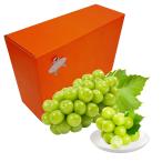 ショッピングシャインマスカット シャインマスカット 贈答用 御中元 御歳暮 葡萄 ぶどう ブドウ プレゼント 御礼 御祝 御供 果物 くだもの フルーツ (秀品2房)