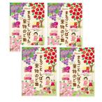  can ro целиком .... фрукты горло конфеты ( виноград тест * яблоко тест *.. тест ) 80g×4 пакет 