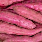  батат ....25 год новый предмет превосходящий товар Special A товар Ibaraki префектура производство особый сельское хозяйство земля из прямая поставка производство история 80 год. старый магазин Edo мыс сладкий картофель ( земля имеется 2kg)