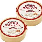 花畑牧場 生キャラメル プレーン（常温タイプ） 64g ×2個セット 【常温配送】