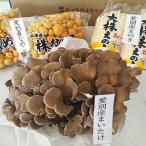 ki. . комплект Hokkaido love другой .. . комплект ...... .. намеко Hokkaido .... Special производство .. . комплект Mai ./enoki./nameko/kino