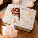 TOKYO CROWN CAT Tokyo Crown кошка Duck wa-z( лесной орех ) 5 годовщина Halloween 2025 подарок Tokyo земля производство конфеты 