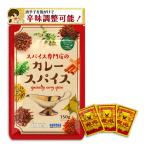 SPANION カレー粉 150g レシピ付 本格 