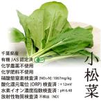  шпинат комацуна местного производства химия пестициды * химия удобрение не использование Chiba производство иметь машина JAS одобрено (500g)