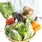 . бобы. . овощи комплект обновленный .8 товар и больше решение! случайный сезон овощи. набор комплект прямая поставка от производителя сезон овощи 