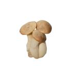 e rin . вёшенка степная примерно 100g пестициды * химия удобрение не использование местного производства 