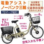 電動自転車 20インチ パンクしない電動三輪自転車 高齢者 シニア向け 電動補助 電動アシスト 保険付き 電動アシスト三輪自転車 ノーパンク自転車 熟年時代社