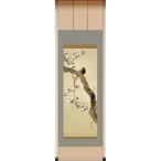 酒井抱一 十二か月花鳥図 三月 桜に雉子図 掛軸 アート 美術品 作品 日本画 複製画 - アートの友社