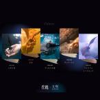 eseket seq. Dazai Osamu ногти полировка 10ml 5 цвет из . выбор OD1948 OD1945 OD1946 OD1949 OD1947 маникюр маникюрный лак педикюр перо новый товар бесплатная доставка 