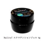 ショッピングネイルアート用品 ネイリティ Naility! エクステンションジェル 4g 長さ出し ハードジェル ジェルスカルプ スカルプネイル クリアジェル ネイルアート 新品 送料無料