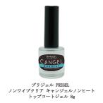 プリジェル PREGEL ノンワイプクリア 