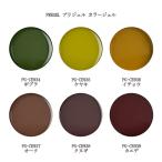 プリジェル カラージェル PREGEL カラーEX PG-CE934 PG-CE935 PG-CE936 PG-CE937 PG-CE938 PG-CE939 フォリアージ 3g  秋ネイル 新品 送料無料