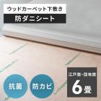 ショッピングシート 日本製 防ダニシート 6畳 江戸間 団地間 ウッドカーペット 防ダニ 畳の上 防カビシート 国産 約105×260cm 4枚 防虫 防カビ シート 半永久 床材 stc-84401-E60