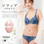 ソフィア (AAA・AAカップ) ワイヤーブラジャー ショーツセット ソニアブラック ブラセット 上下セット 女性下着 レディース エレーヌ elene 爆買