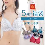 福袋 ワイヤーブラジャー おまかせ 5点セット 送料無料 女性 下着 レディース ワイヤー ブラジャー ブラ お買い得 安い A B C D E F G エレーヌ elene
