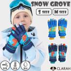 キッズ 手袋 グローブ 恐竜 男の子 子供 子ども こども 雪遊び スキー スノボ ダイナソー 防寒対策 暖かい ネコポス