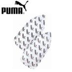  колодка осушитель Puma PUMA обувь для осушитель футбол 880675