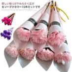 プレゼント贈り物義父カーネーション...