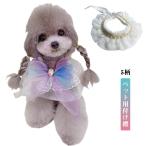 o... блуза шея украшение кошка. одежда кошка одежда кошка одежда . осыпь .. кошка для установка воротник шея цвет шляпа кошка .. симпатичный модный костюмированная игра менять оборудование 