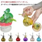  симпатичный кувшин лейка распылитель стеклянный ощущение роскоши садоводство . уборка опрыскиватель распылитель модный интерьер retro под старину растения 