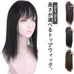 送料無料 かつら 薄毛対策 ウィッグ