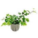  декоративное растение ivy 3 номер pot полимер производства горшок с чехлом ..... интерьер Индия a зеленый 