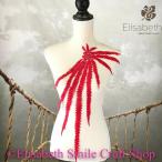  узор цветочный принт костюм художественная гимнастика костюм узор перо узор Leotard узор жезл узор оборудование орнамент Dance оборудование орнамент ручная работа детали гонки узор красный mo...