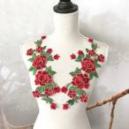  роза узор Leotard Berry Dance красный красный пара костюм Dance оборудование орнамент ручная работа роза 