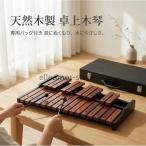 木琴 25音 卓上木琴 天然木 シロフォン 収納ケース・お手入れクロス付き
