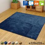 ラグ 冬用 カーペット 3畳 洗える 6畳 絨毯 無地 おしゃれ ラグマット 洗濯 防音 滑り止め 正方形 格安 シンプル 220×220 韓国 風