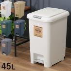ゴミ箱ごみ箱45リットルふた付きペダル大容量おしゃれ45lキッチン長方形ダ...