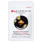 ターミナリアファースト プロフェッショナル ： 通販・価格比較