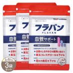 [ 3 пакет комплект ]fla van кровеносный сосуд поддержка 15g ( 250mg × 60 шарик ) 30 день минут Восток well nes[ функциональность отображать еда ] почтовая доставка бесплатная доставка SPL /fla van S01-01 / FLAVAN-03P