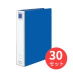 [30 шт. комплект ]kok йога bat камера файл < eko twin >A4 длина . ширина эластичный type 5080mmf-GT680B[ массовая закупка ]