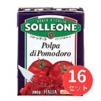[16 шт. комплект ]soru* Leone кости помидор ( бумага упаковка ) 390g день . коммерческое предприятие 1202167[ массовая закупка ]