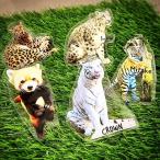  акрил брелок для ключа 