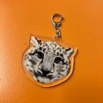  акрил брелок для ключа 