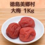 梅干し 無添加 大梅1kg 昔ながら 梅 