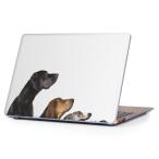 MacBook Air 13inch 2010?2017専用 デザインハードケース A1466 A1369 Apple マックブック エア カバー 透明  写真　犬　いぬ　白　ホワイト 008190