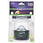  ом электро- машина LED фонарь нет -ступенчатый style свет ECLAT 120 люмен днем белый цвет LN-12C7[ номер товара :08-0929]