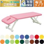  takada bed ...-GS TB-589 массажный стол .. целый body терапия для медицинская помощь для экспертиза шт. иглоукалывание прижигание . больница 