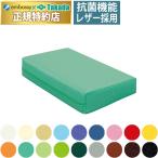 高田ベッド カラーマッサージマクラ TB-77c-05 万能タイプの施術用マクラ 治療用枕 額まくら 胸当てクッション