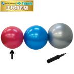  takada bed фитбол (55) TB-1295-01 аэробика движение движение осанка корректирующий . сила гарантия .