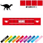 イグアノドン 名入れマフラータオル タオルマフラー タオマフ ストライプ ドット 水玉 柄タオル ポリエステル 恐竜 化石 肉食 草食 雑食 海 陸