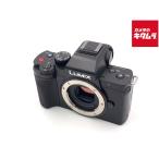 PANASONIC LUMIX DC-G100