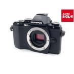 OM SYSTEM OM-D E-M10