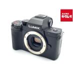 PANASONIC LUMIX DC-G100