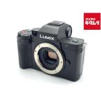 PANASONIC LUMIX DC-G100