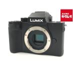 PANASONIC LUMIX DC-G100D